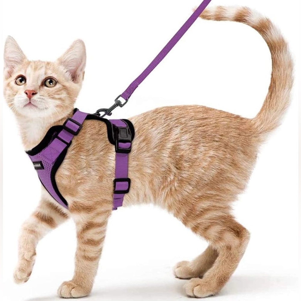 Rabbitgoo purple harness & leash, size XXS, New in Package.